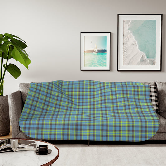 A plaid throw blanket in blue, green, and yellow tones is draped over a gray sofa in a modern living room setting with framed wall art and a potted plant.