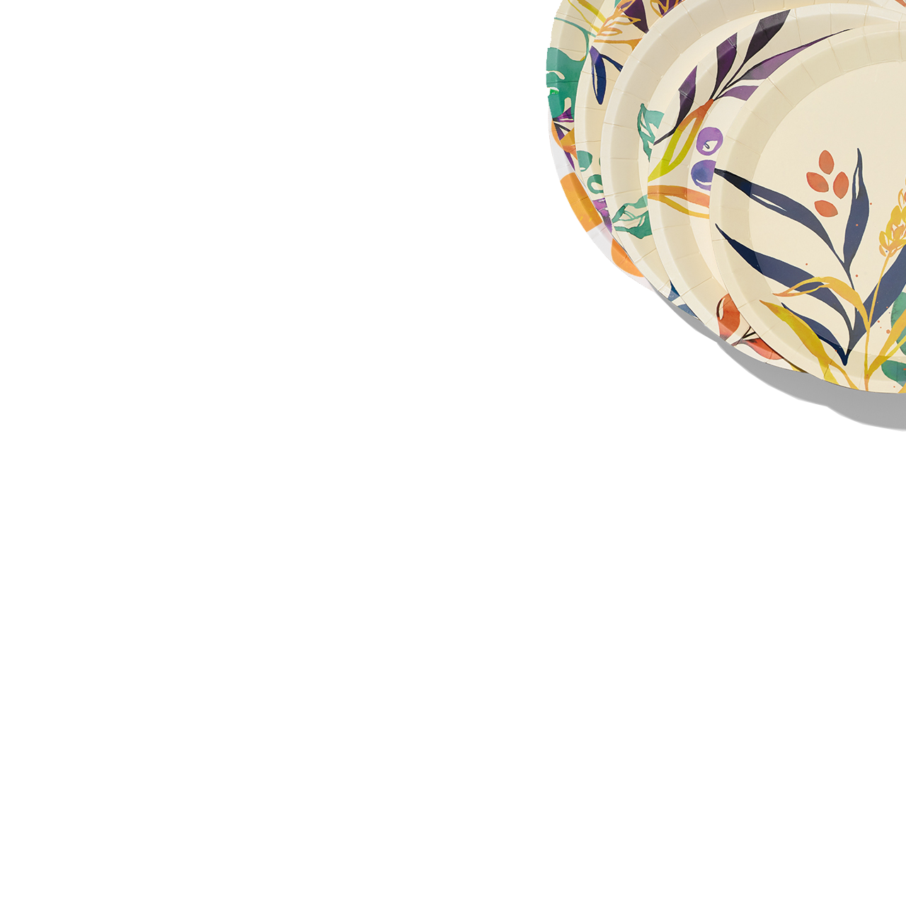 Colorful floral paper party plates.