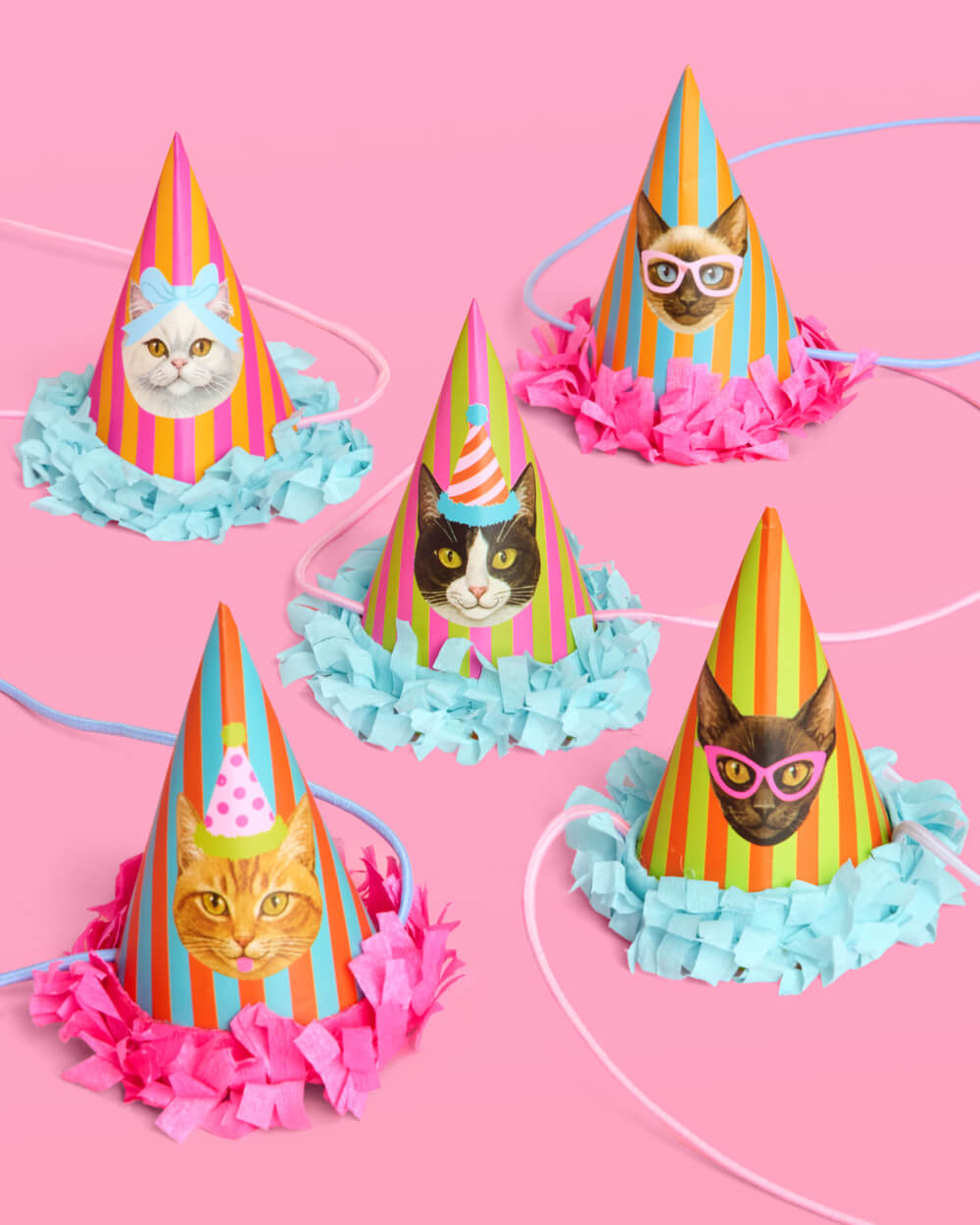 Cat Birthday Bundle - Banner, Napkins, Plates + Party Hats