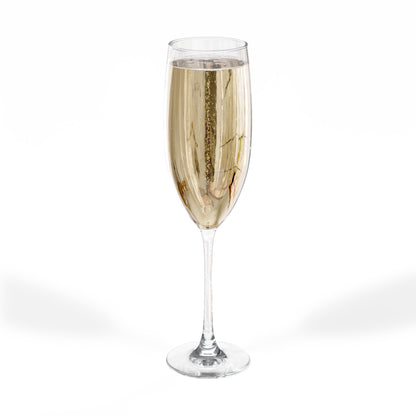 Champagne flute filled with champagne on a white background.  This is the back view.