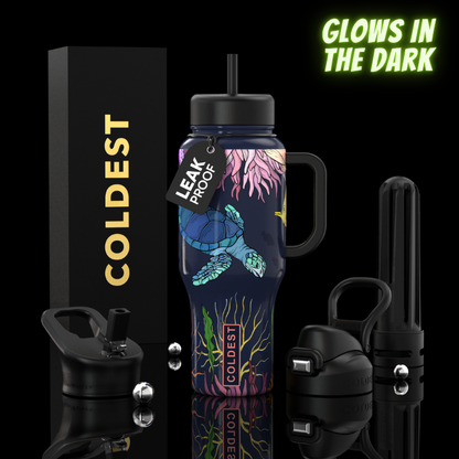 Colorful water bottle with turtle design, surrounded by accessories on a black background.