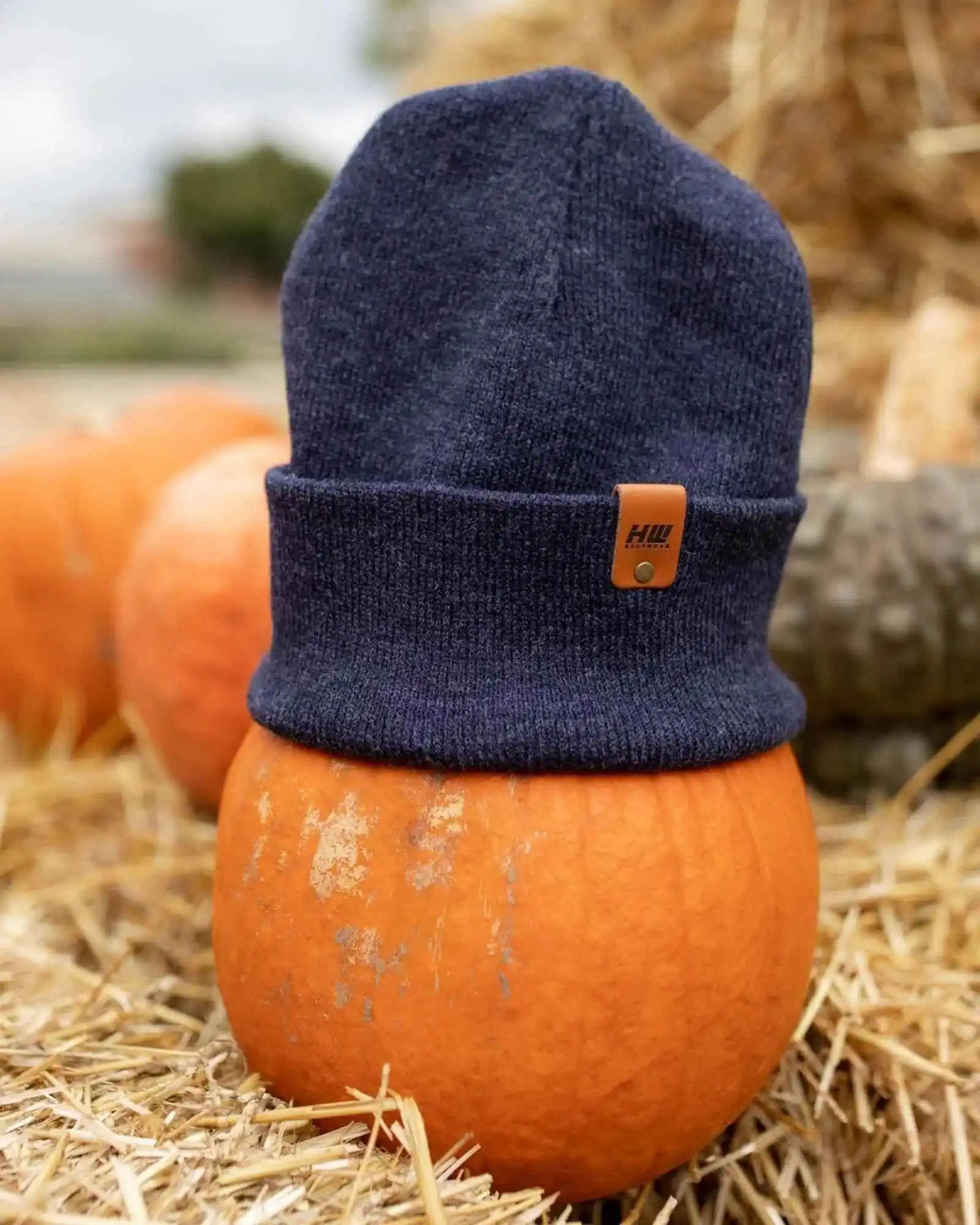 Navy blue beanie with orange logo on a pumpkin in a field