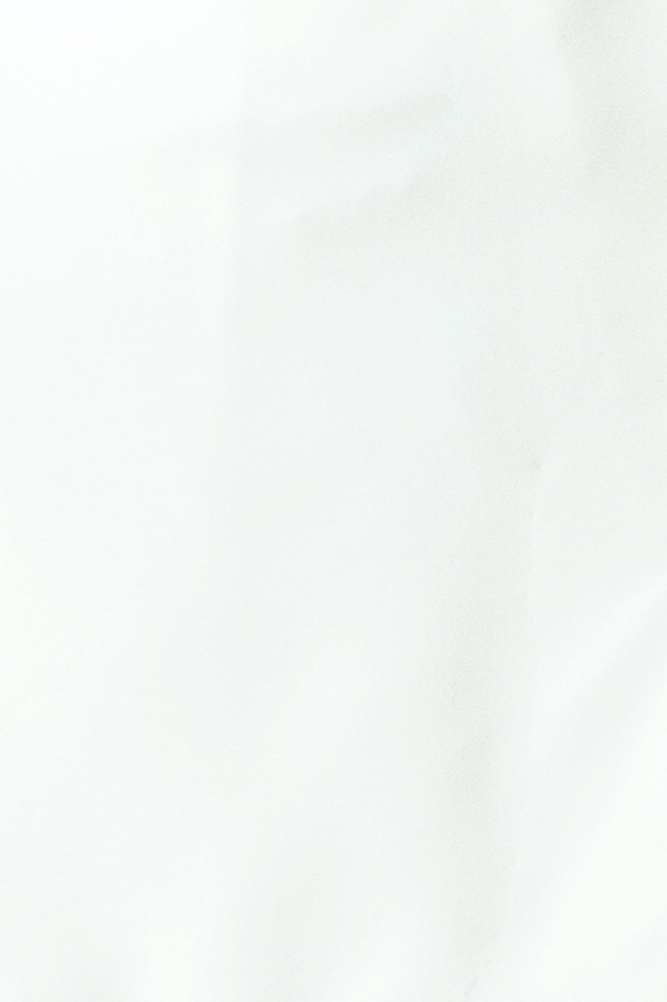 Solid light gray color swatch
