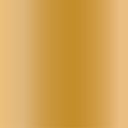 Gold Party Fans