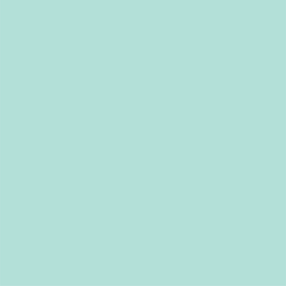 Mint Green Party Fans