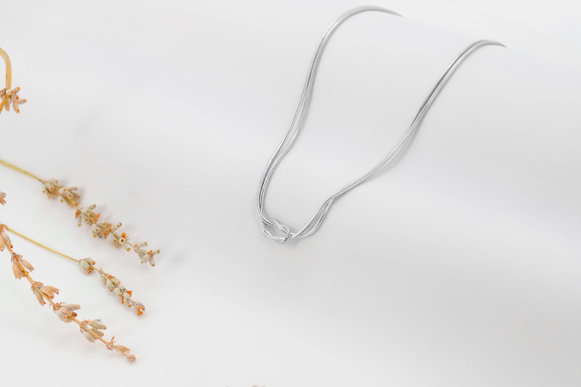 Silver necklace on a white background with dried flowers.