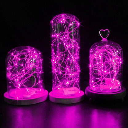 Three decorative LED string lights in glass domes on a black background