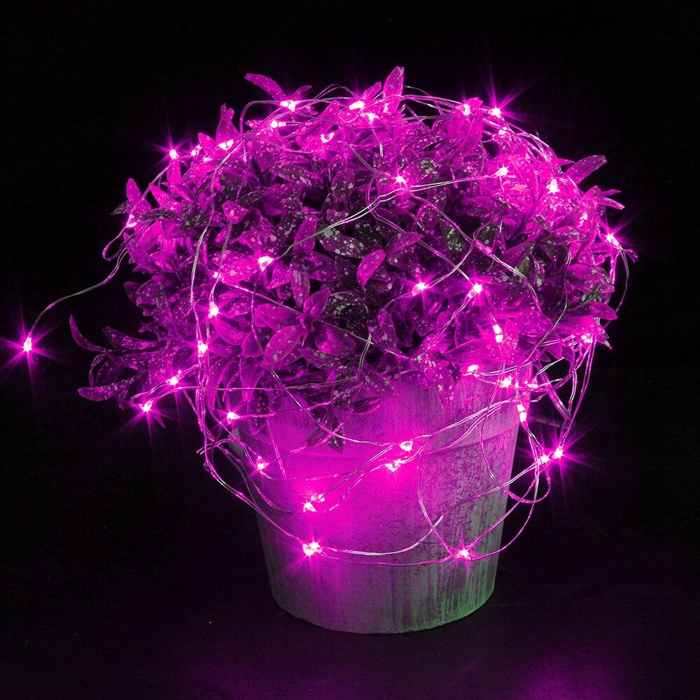 Potted plant with pink LED lights on a black background