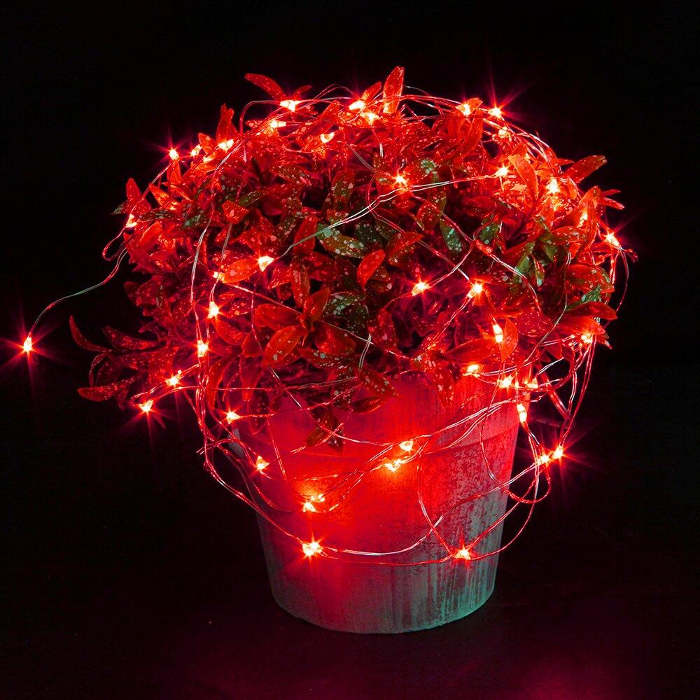 Potted plant with red LED lights on a black background
