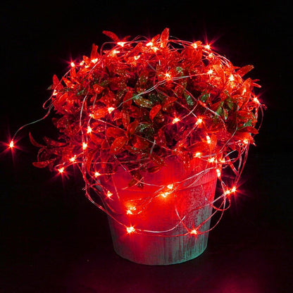 Potted plant with red LED lights on a black background