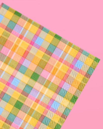 Summer Camp Gingham Plaid Paper Cocktail Napkins, 24 Count, 3-Ply